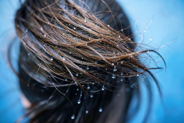 Cabelo castanho caindo em câmera lenta com gotas de líquido caindo sobre ele