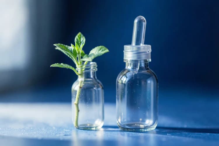 Um pequeno frasco de vidro com um conta-gotas e uma pequena planta crescendo ao lado
