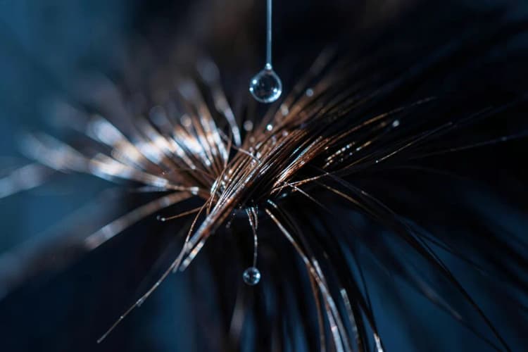 Um fio de cabelo castanho brilhante com uma única gota de líquido caindo sobre ele