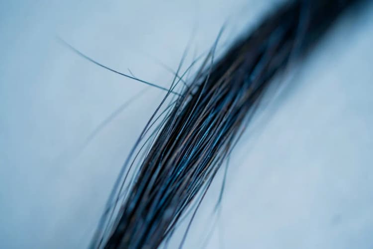 Um fio de cabelo saudável e forte em close-up, mostrando sua estrutura.