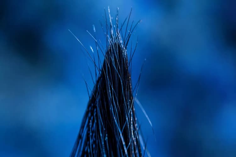 Cabelo crescendo forte e saudável em um fundo desfocado.