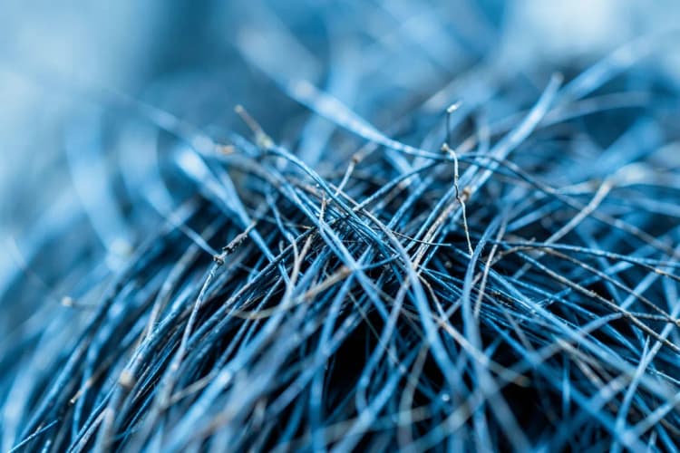 Fios de cabelo em close-up extremo, mostrando a raiz e a haste danificadas.