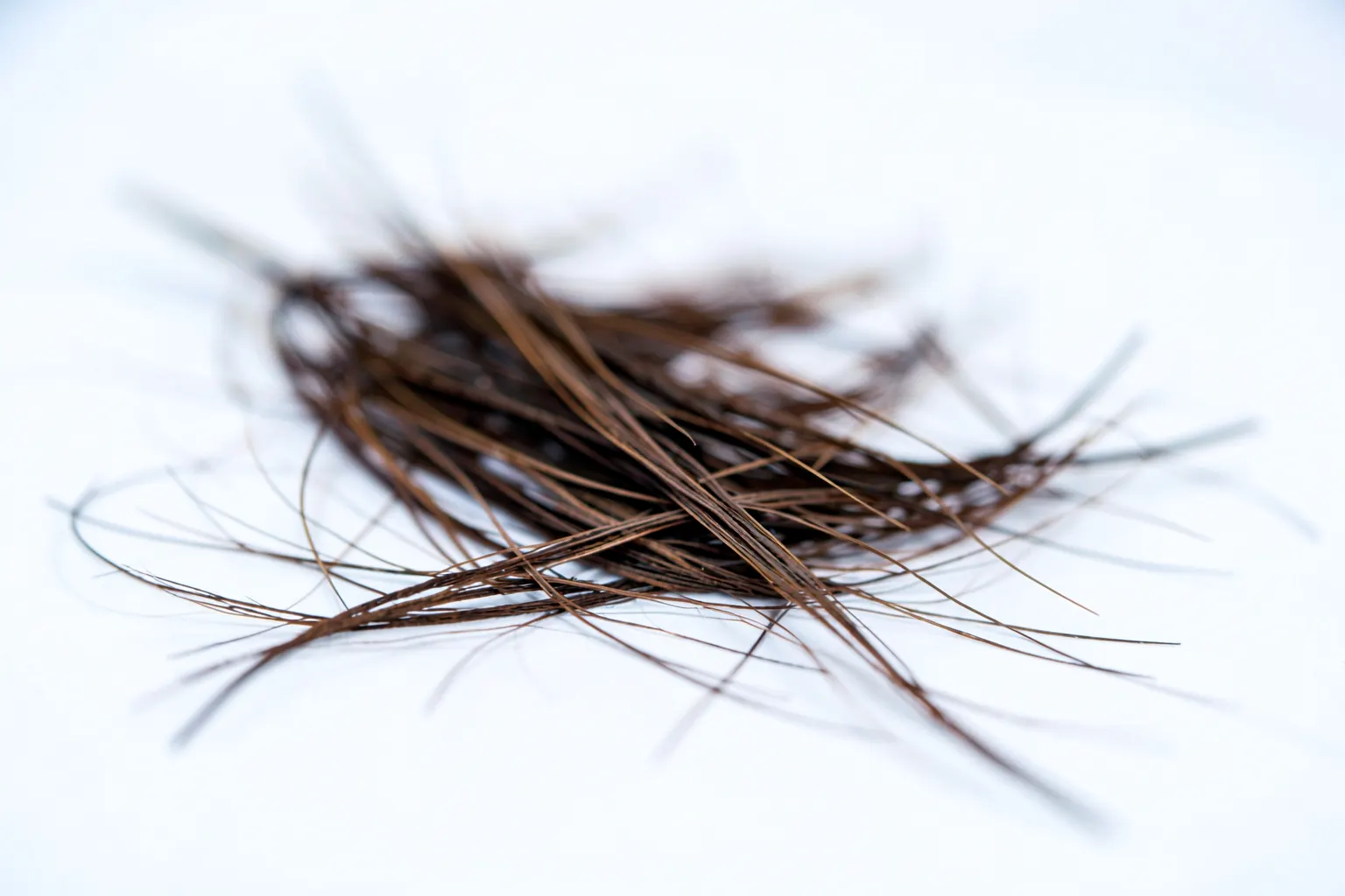 Sinais de que o estresse está afetando seu cabelo
